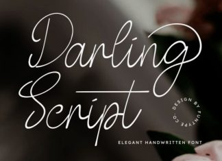 Darling Handwritten Type preview image 1