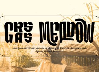 DEMANDING CREATURES FONT preview image 2