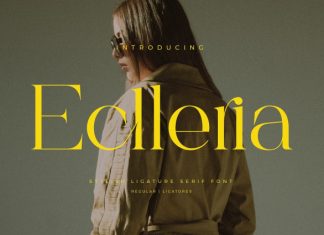 Eclleria Font preview image 1
