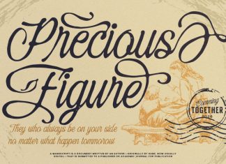 Eleven Hockey Script Font preview image 3