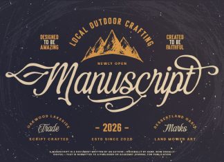 Eleven Hockey Script Font preview image 2