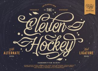 Eleven Hockey Script Font preview image 1