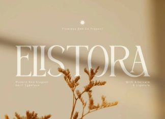 Elistora Font preview image 1