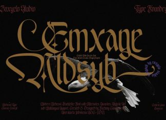 Emxage Aldsyb Font preview image 1