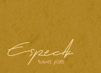 Especk Script Font preview image 1