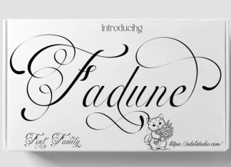 Fadune Calligraphy Font preview image 1