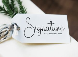 February Handwriting Font preview image 2