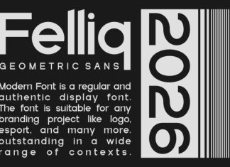 Felliq Font preview image 3