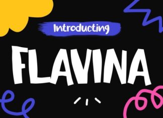 Flavina Font preview image 1