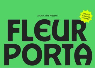 Fleur Porta Font preview image 1