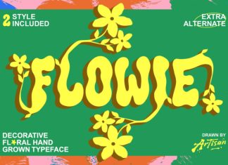 Flowie Font preview image 1