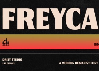 Freyca Font preview image 1