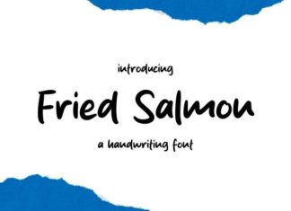 Fried Salmon Font preview image 1