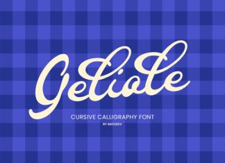 Galiole Script Font preview image 1