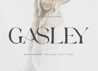 Gasley Font preview image 1