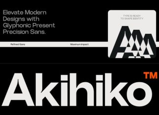 GC Akihiko Font preview image 1