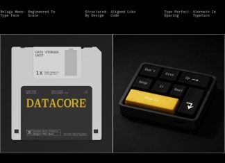 GC Beluga Mono Font preview image 3