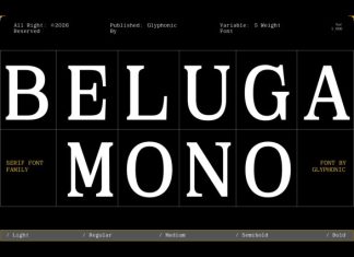 GC Beluga Mono Font preview image 1