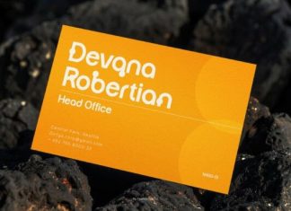 Gevora Font preview image 2