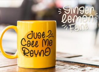 Ginger Lemon Font preview image 2
