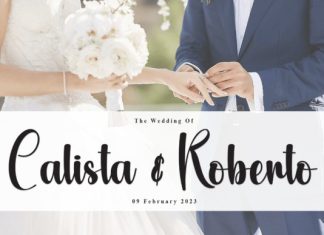 Glittering Script Font preview image 3