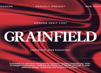 Grainfield Font preview image 1