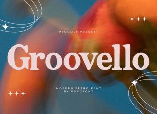 Groovello Font preview image 1