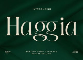 Haggia Font preview image 1
