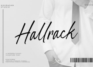 Hallrack Handwritten Font preview image 1