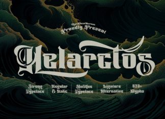 Helarctos Font preview image 1