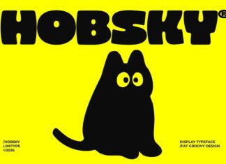 Hobsky – Bold Font preview image 1
