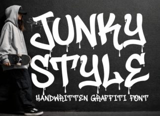 Junky Style Font preview image 1