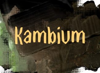Kambium Font preview image 1