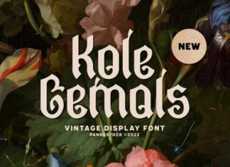 Kole Gemols Font preview image 1