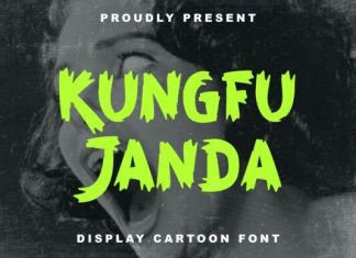 Kungfu Janda Font preview image 1