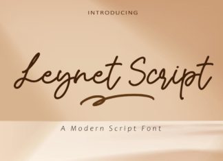Leynet Script Font preview image 1