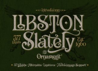 Libston Font preview image 1