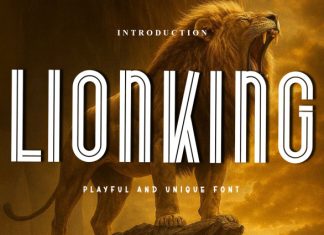 Lionking Font preview image 1
