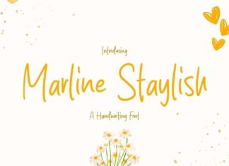 Marline Staylish Font preview image 1