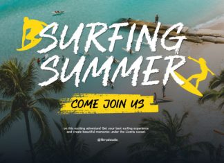 Marlyn land Brush Font preview image 2