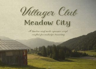 Meadow & Villager Club Font Duo preview image 3