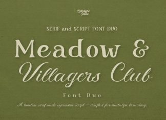 Meadow & Villager Club Font Duo preview image 1