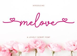 Melove Handwriting Font preview image 1