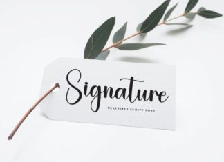 Mockup Script Typeface preview image 2