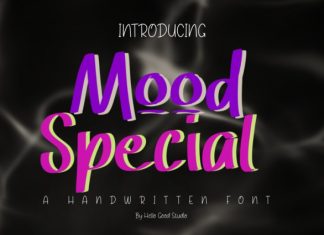 Mood Special Font preview image 1