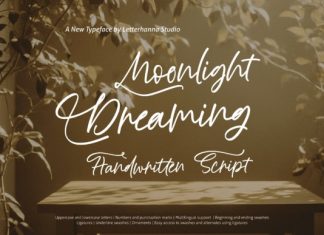Moonlight Dreaming Handwritten Font preview image 1