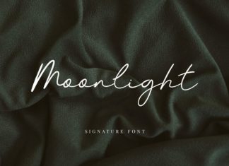 Moonlight Handwritten Font preview image 1