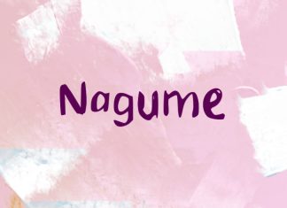 Nagume Font preview image 1