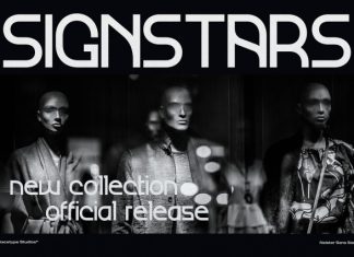 Neister Font preview image 3