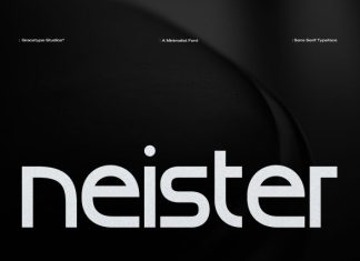 Neister Font preview image 1
